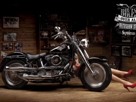 Bike show ad (click to view)