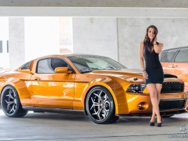 Ford Mustang Supersnake (click to view)