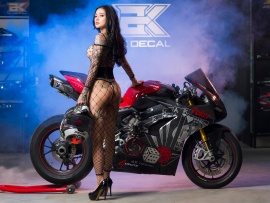 Fishnet and Ducati bike (click to view)