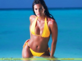 Gaby Espino hot bikini (click to view)